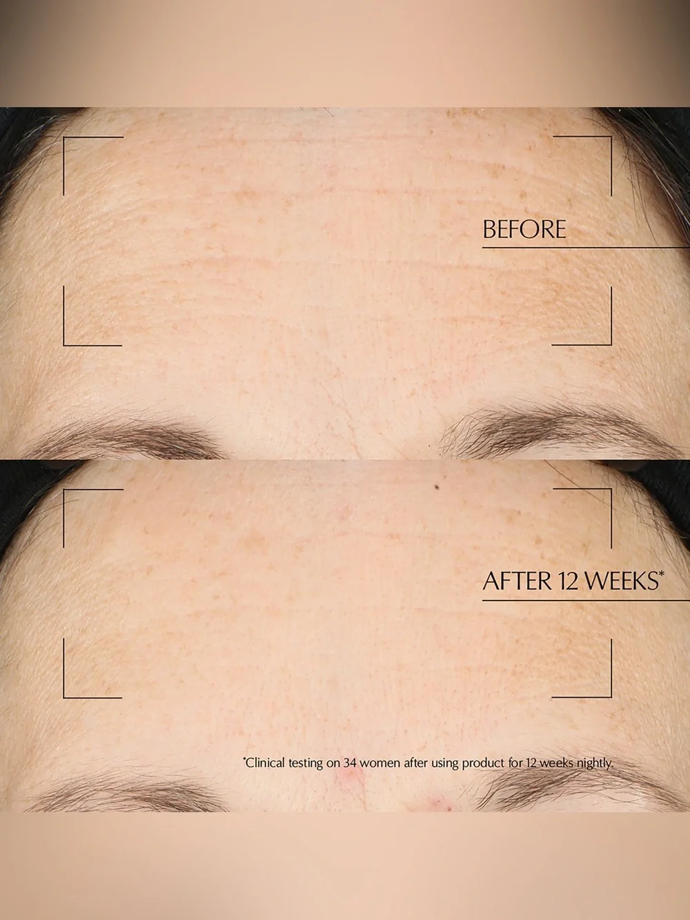 Estée Lauder want look